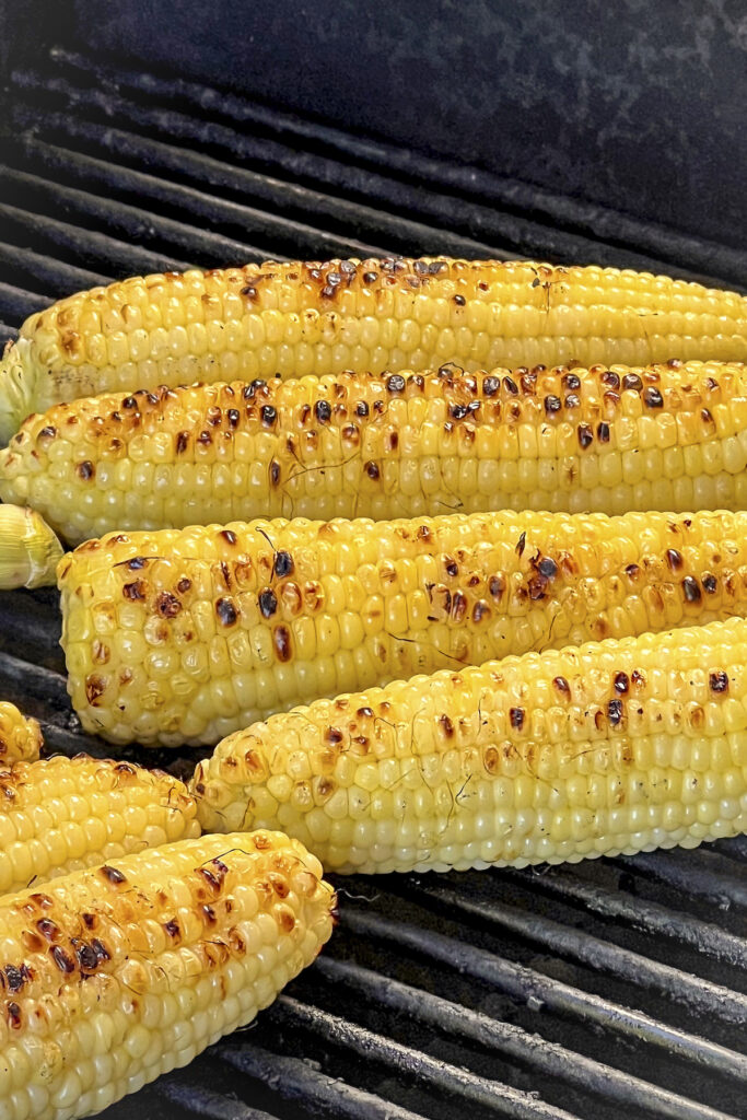 A close up photo of 6 corn on the cob that have been blanched, smoked and now have char marks. 