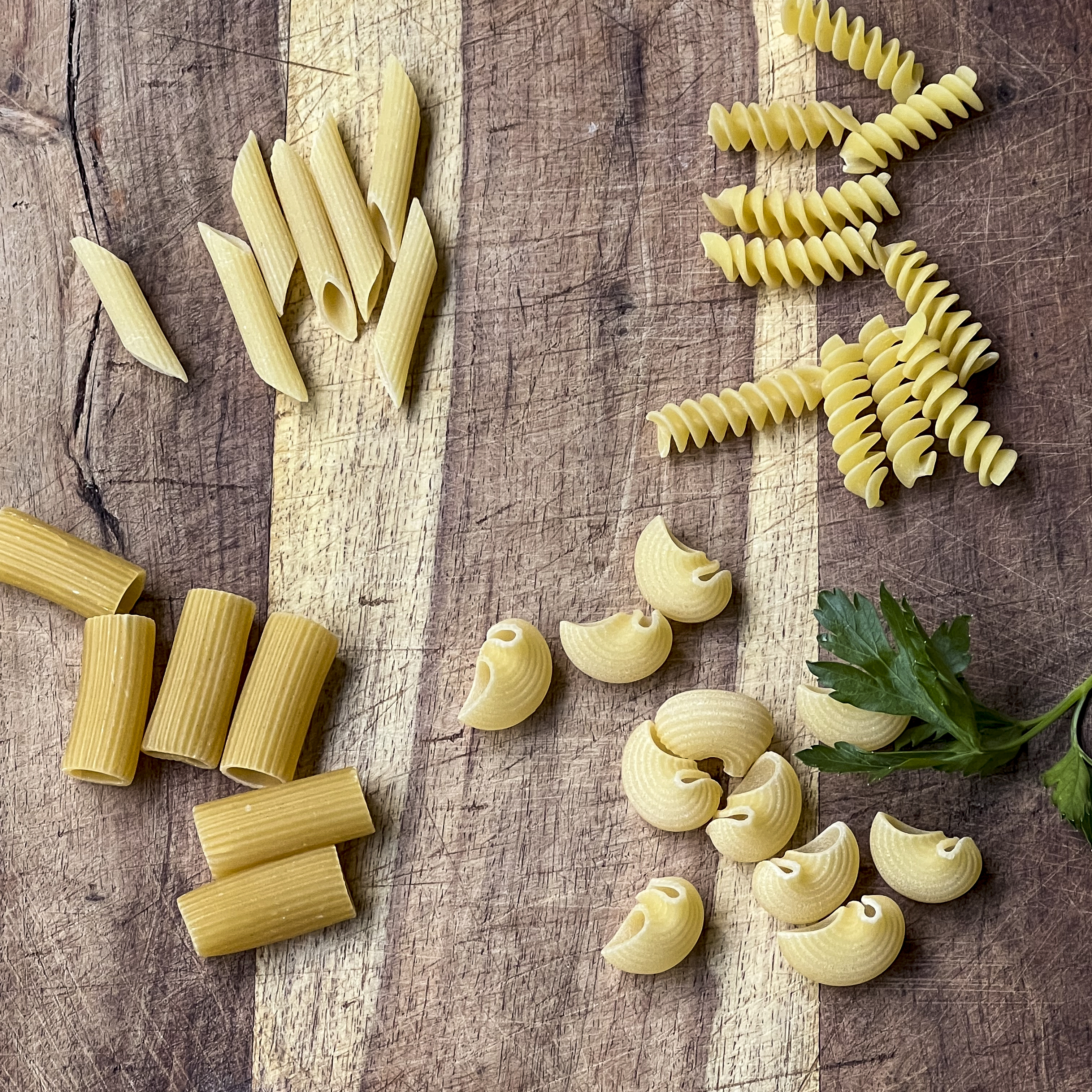 A photo showing many types of pasta that are appropriate for macaroni and cheese.