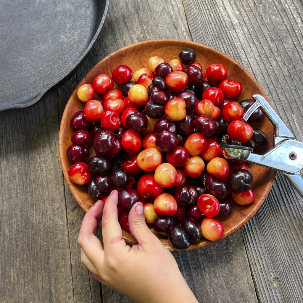 A child's hand is reaching into a bowl of cherries with a cherry pitter near by.