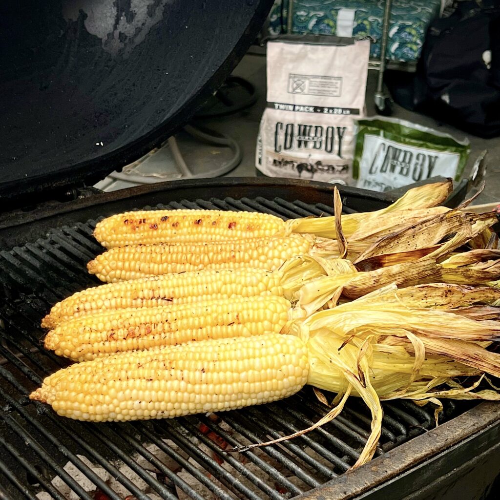 The husks have been pulled back for the final step of charring corn on the cob on the grill.