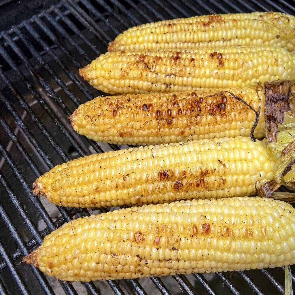 Amber corn on the cob is ready to eat. 