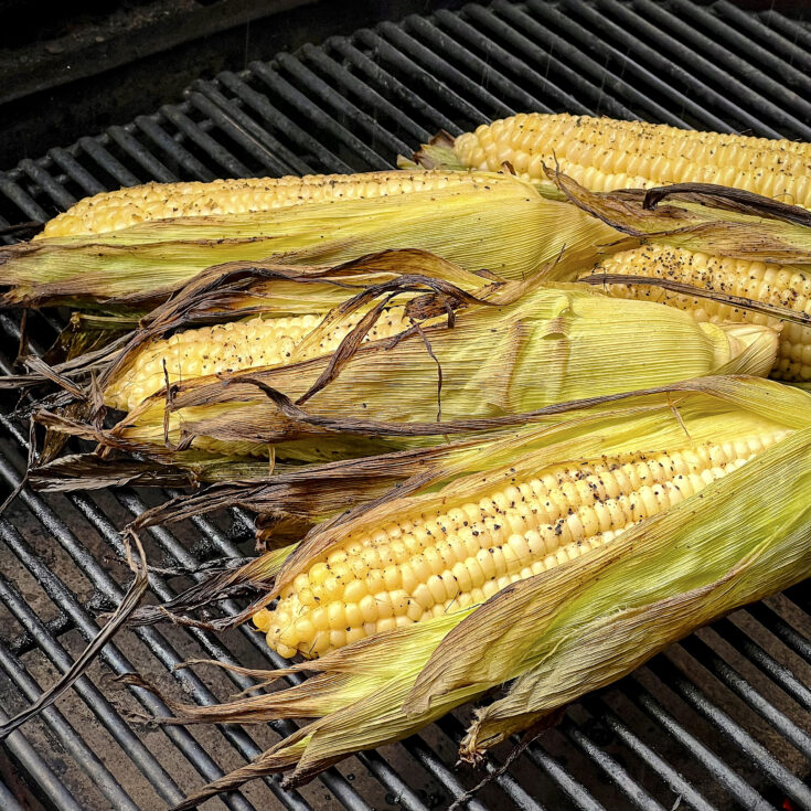 Golden corn has been roasted on the grill.