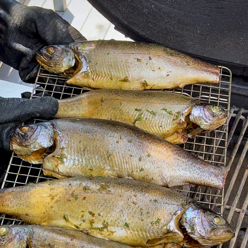 A wire rack with fish to be smoked. 