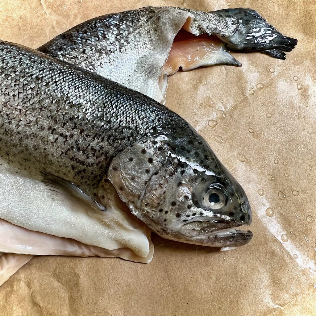 A photo noting how clear the eyes should be on trout to guarantee freshness.  