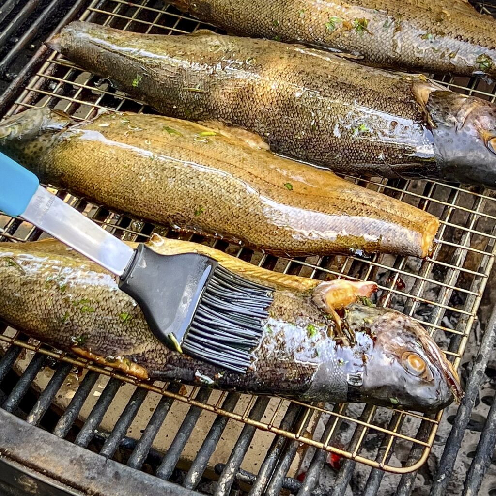 Brushing oil on trout before and during the making of smoked trout.