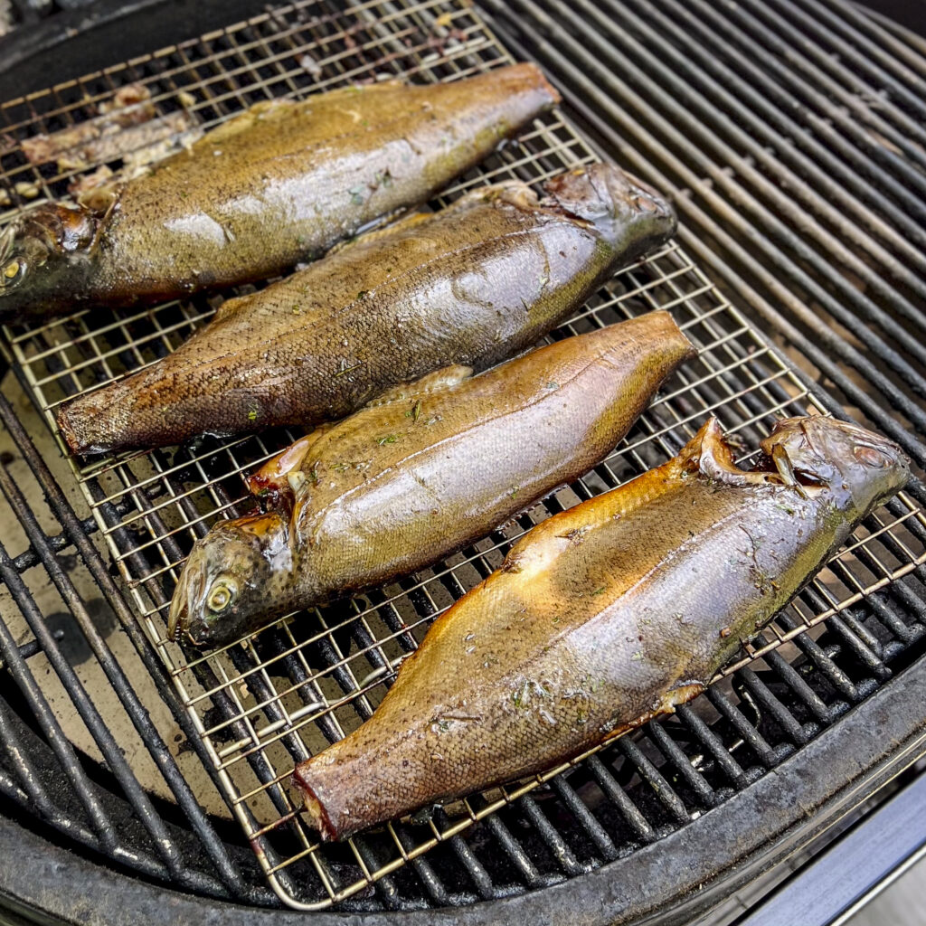 Smoked trout is done but still on the grill.